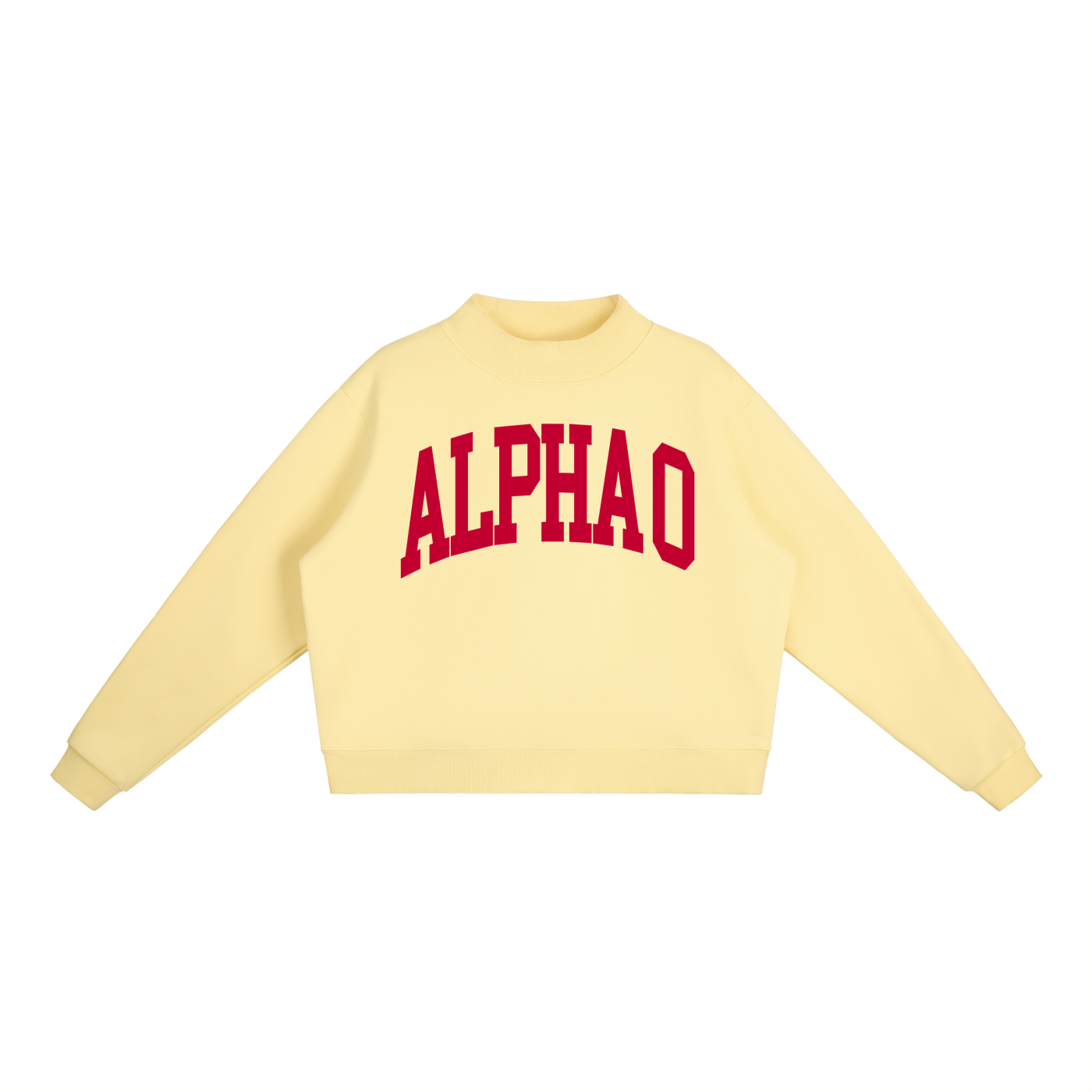 Alpha Omicron Pi Big Mock Neck Sweatshirt - Ivy Society