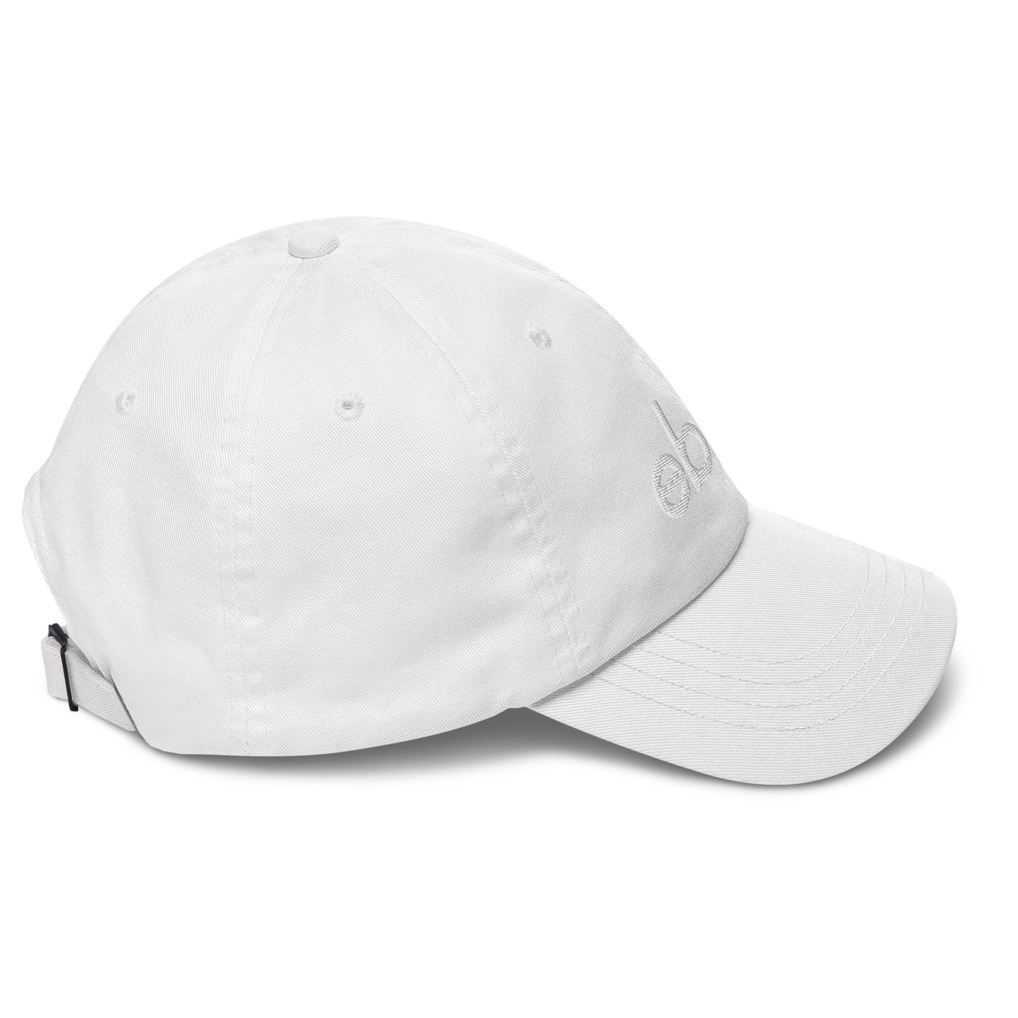 Ebby embroidered hat - Ivy Society