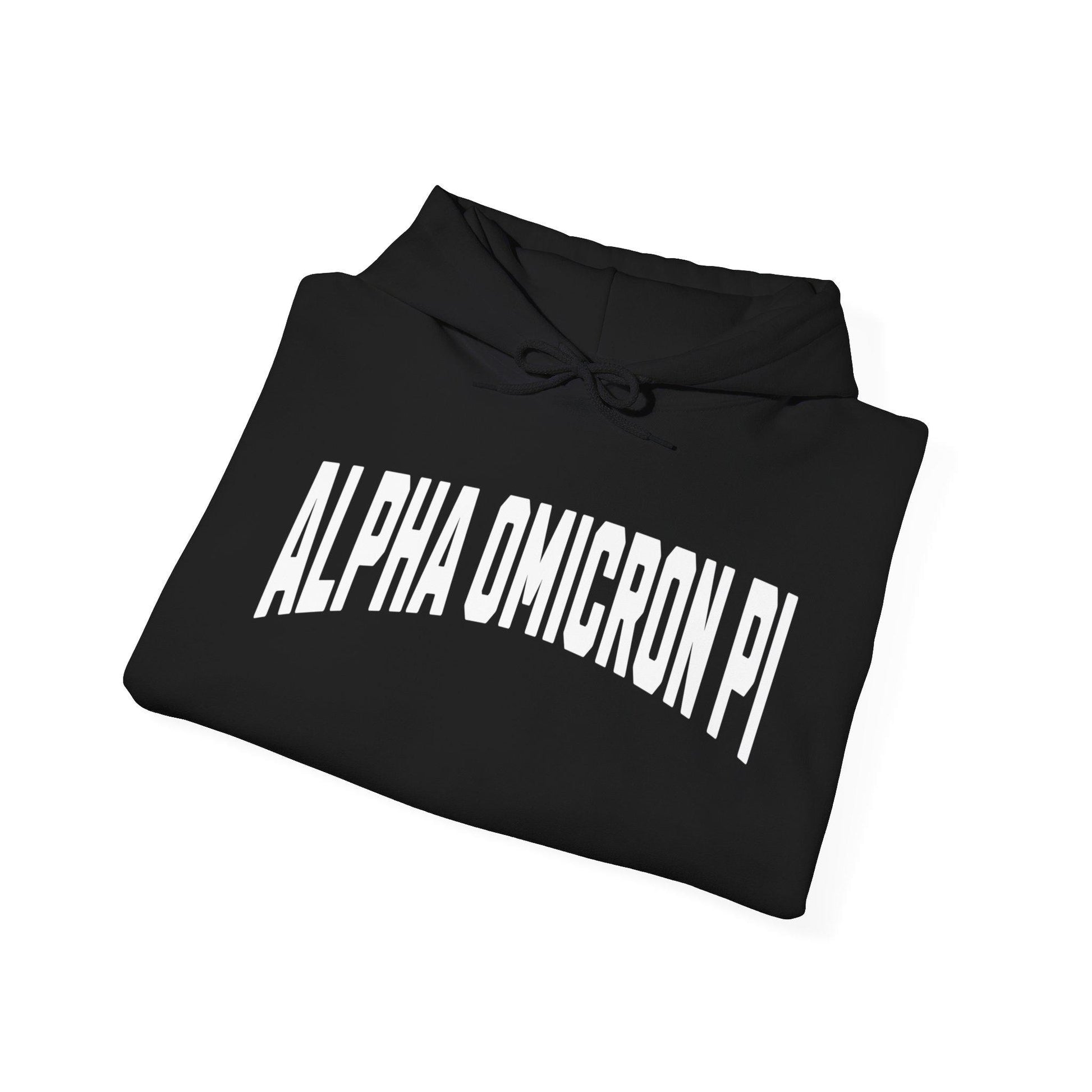 Alpha Omicron Pi Classic Hoodie - Ivy Society