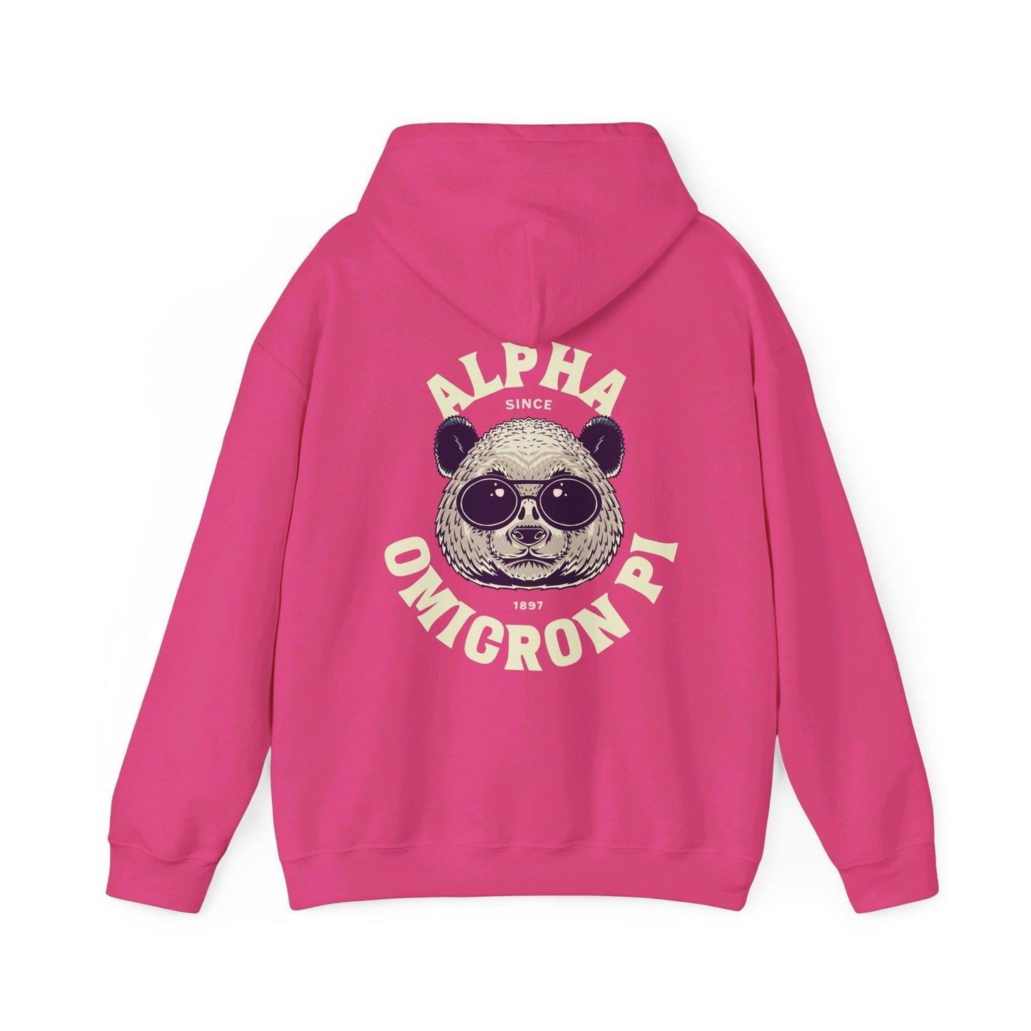 Alpha Omicron Pi Panda Hoodie - Ivy Society