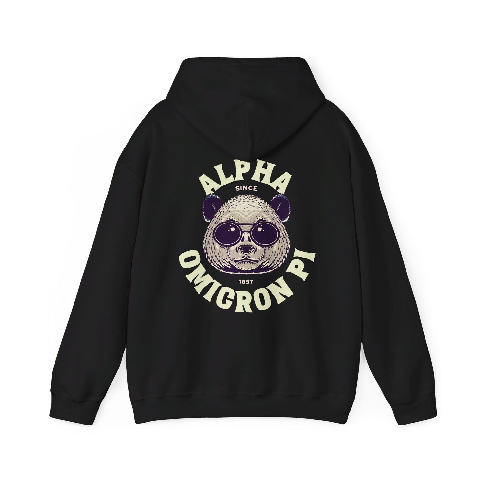 Alpha Omicron Pi Panda Hoodie - Ivy Society