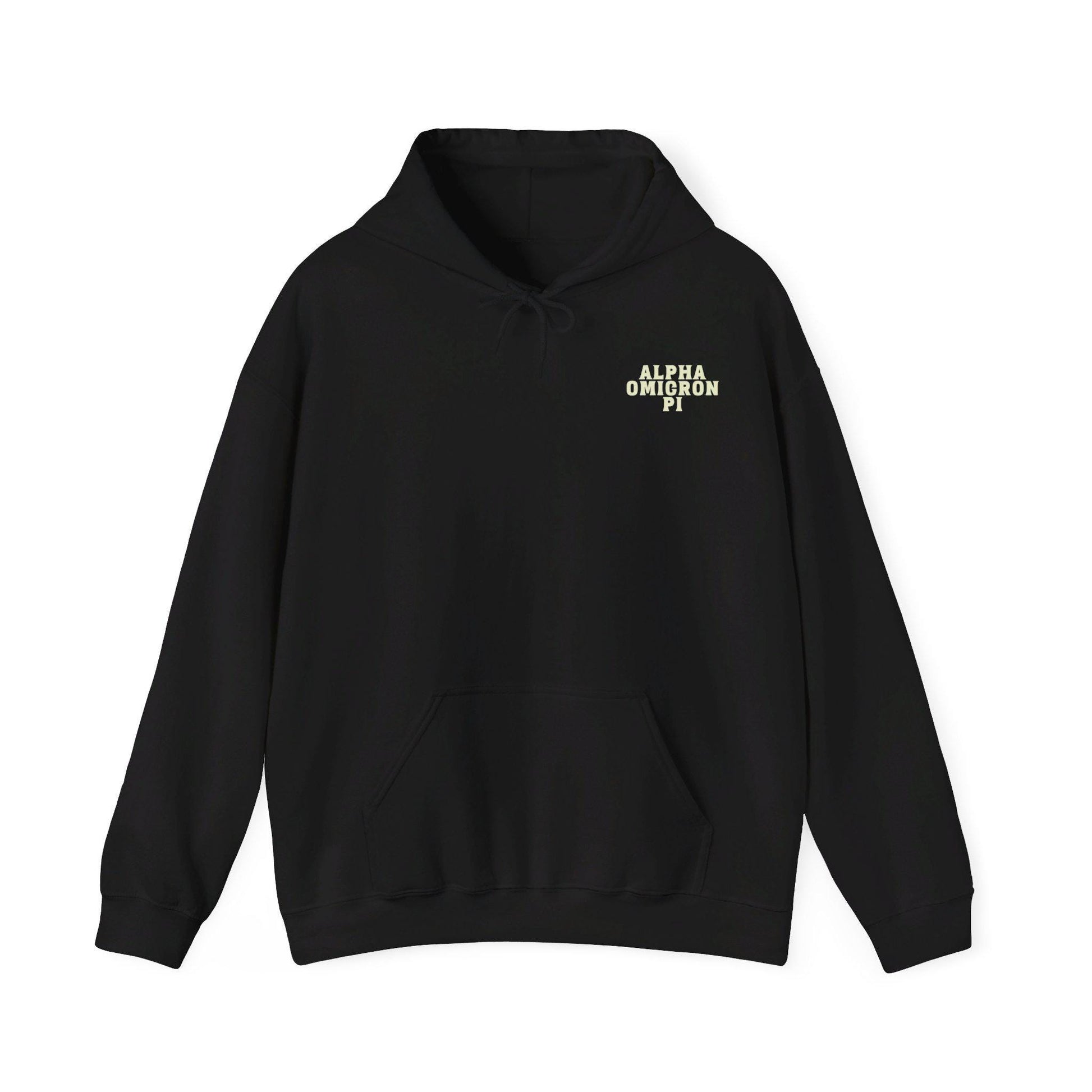 Alpha Omicron Pi Panda Hoodie - Ivy Society