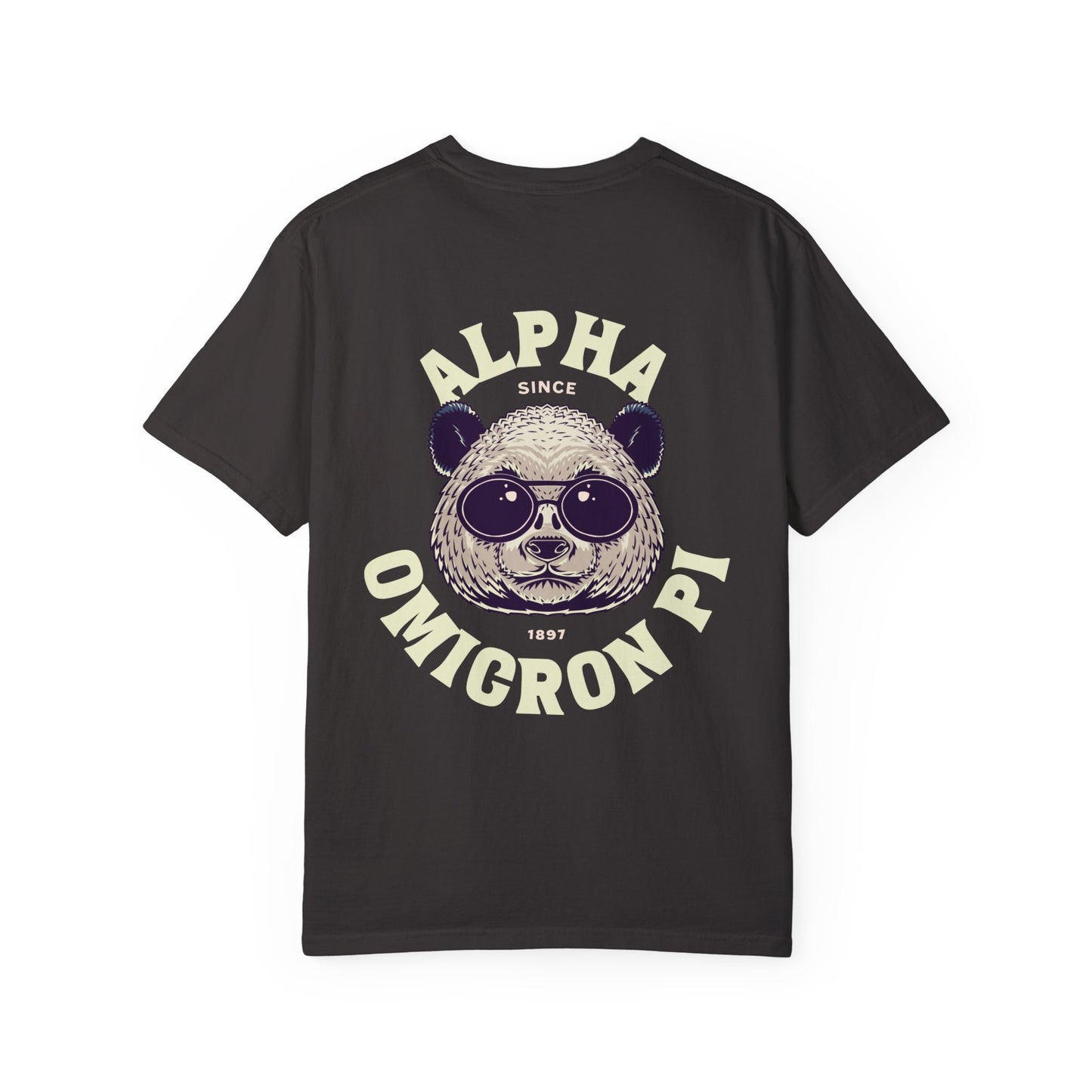 Alpha Omicron Pi Panda T-shirt - Ivy Society