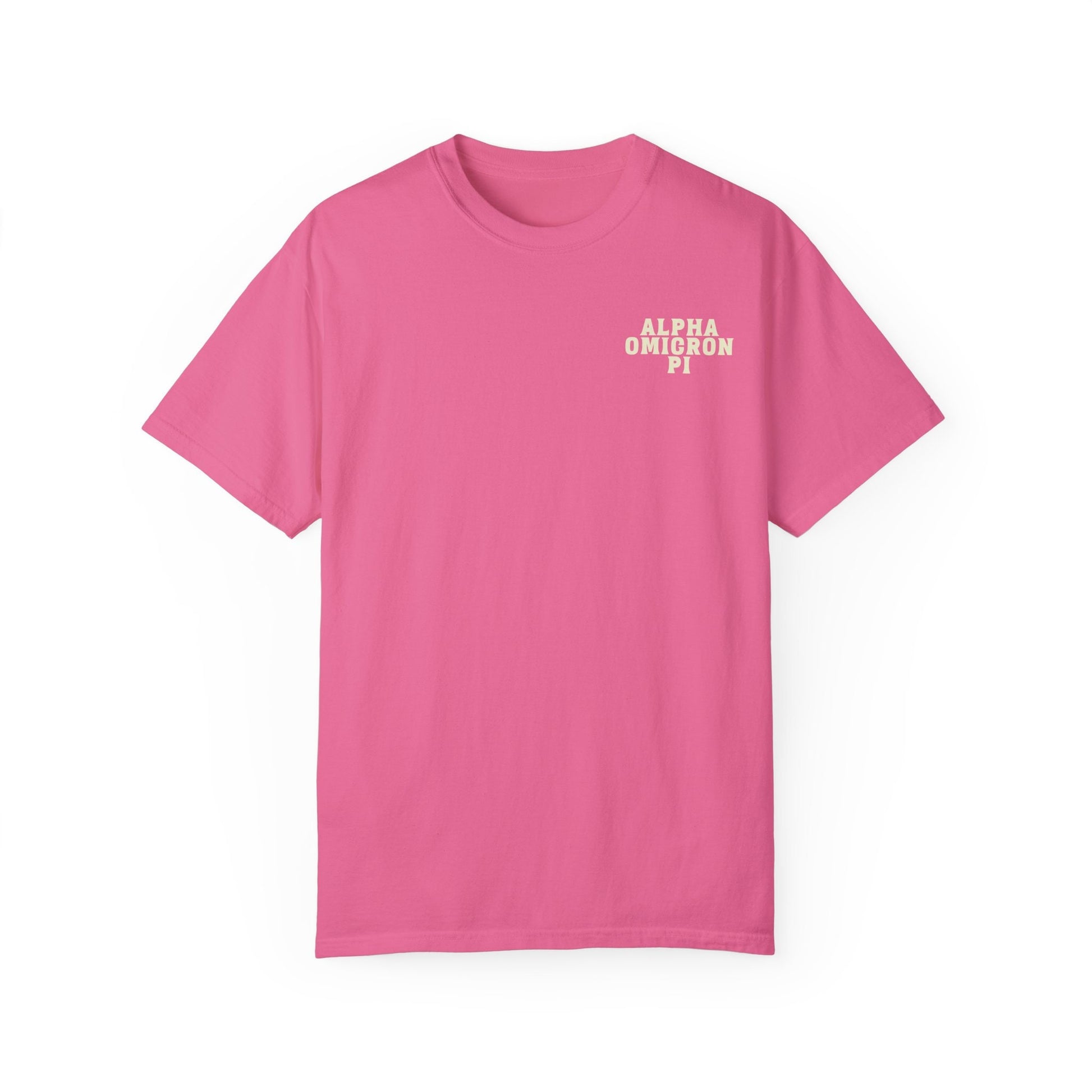 Alpha Omicron Pi Panda T-shirt - Ivy Society
