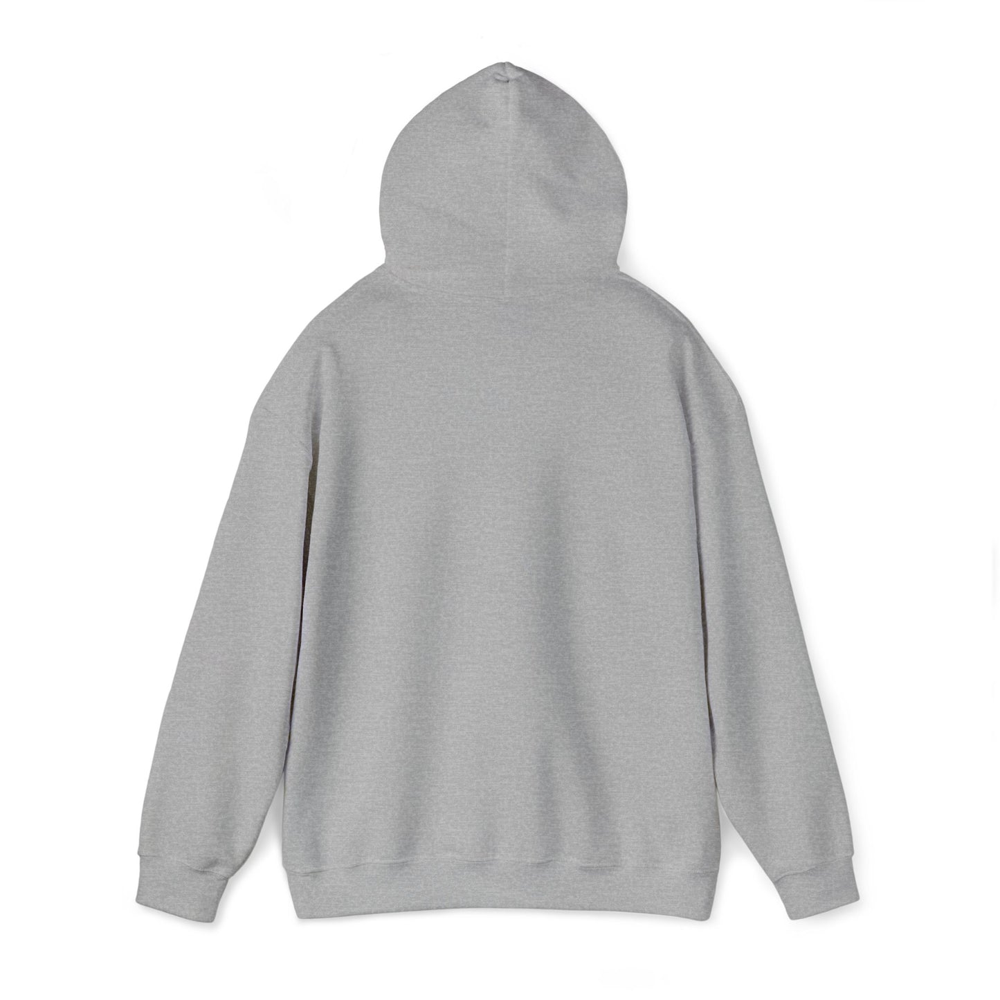 DCAZ Embroidered White Logo Hoodie - Ivy Society
