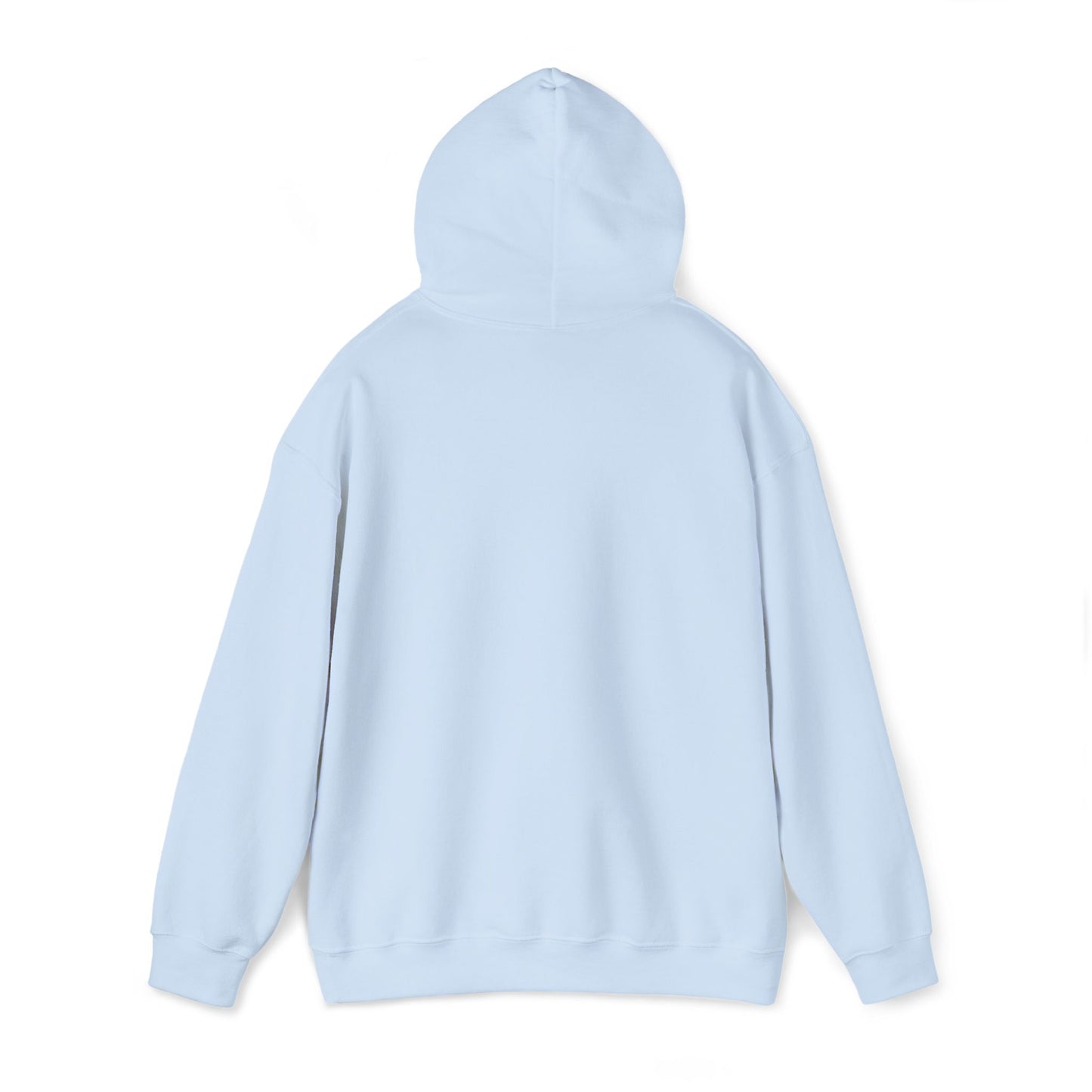 DCAZ Embroidered White Logo Hoodie - Ivy Society