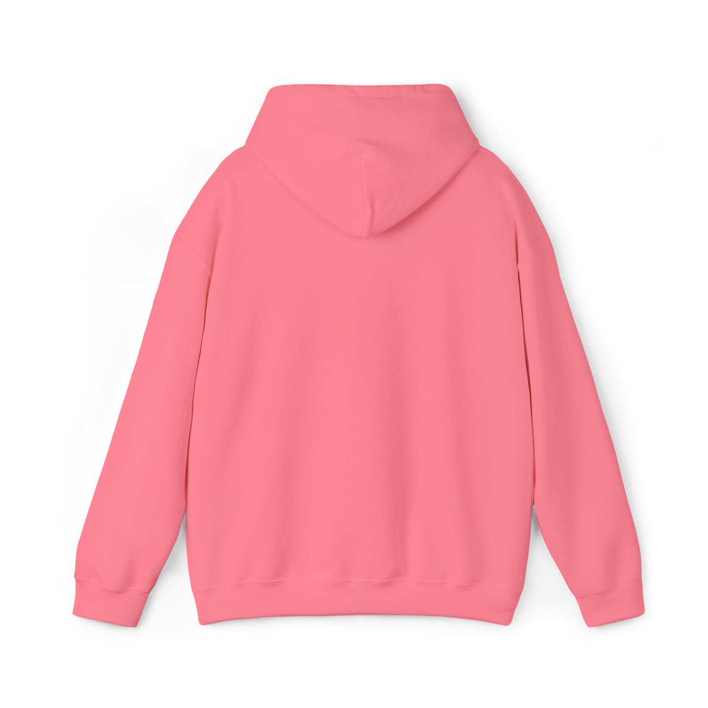 DCAZ Embroidered White Logo Hoodie - Ivy Society