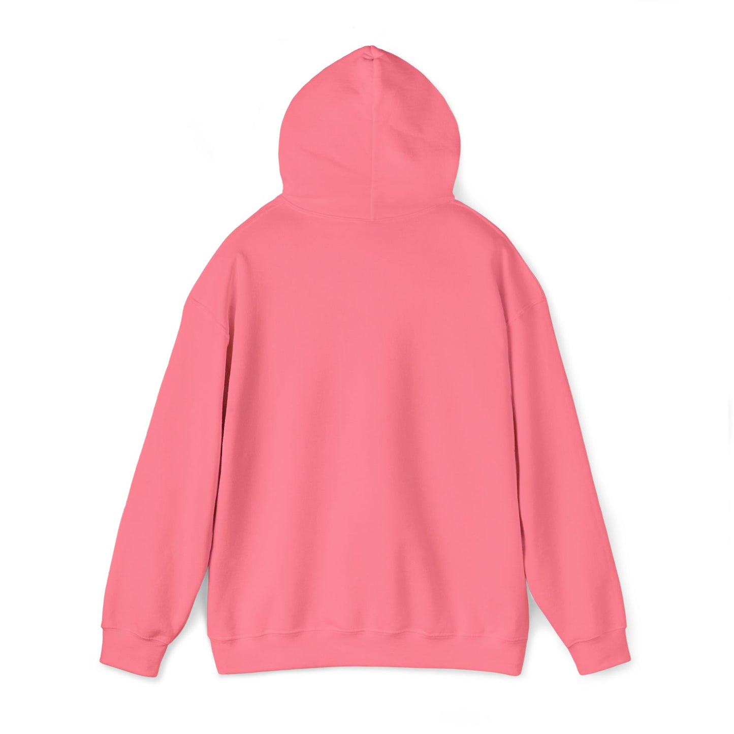 DCAZ Embroidered White Logo Hoodie - Ivy Society