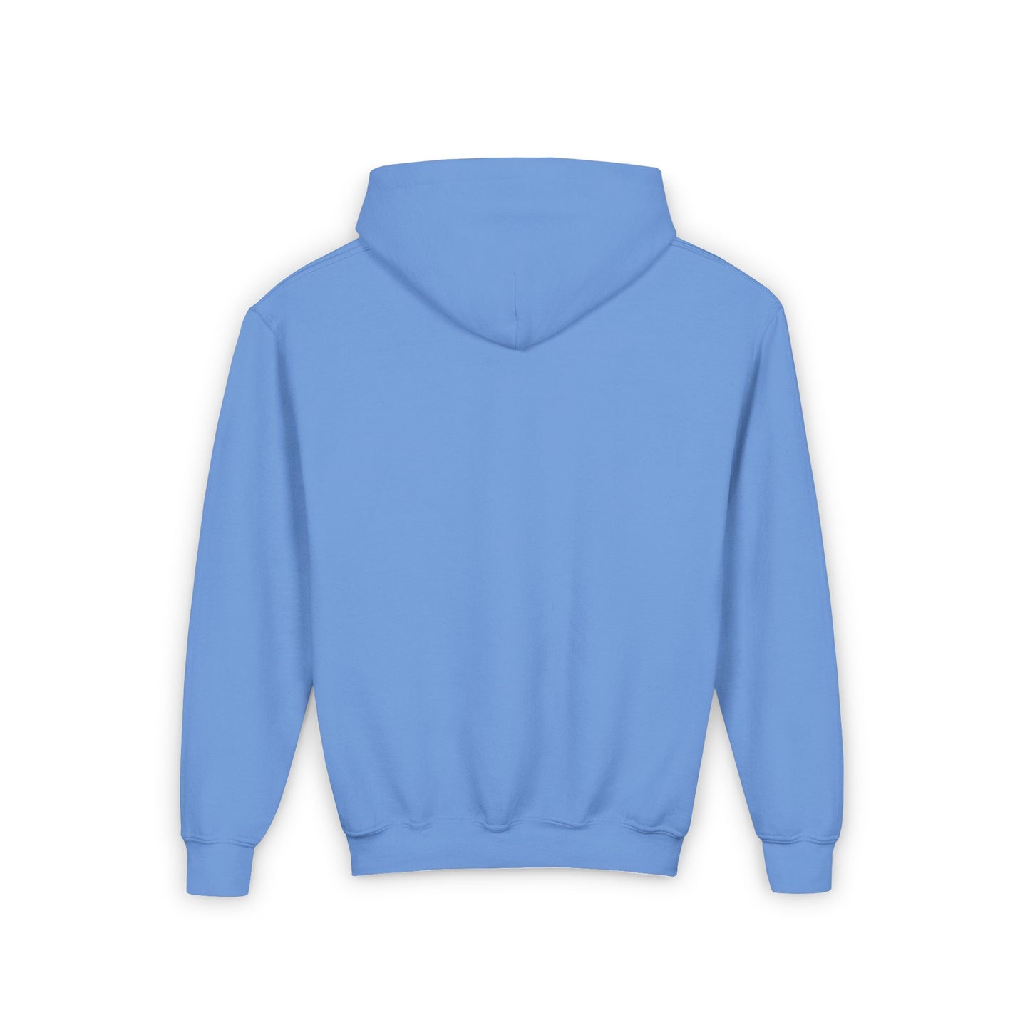 Dcaz Kids Hoodie Embroidered Logo - Ivy Society