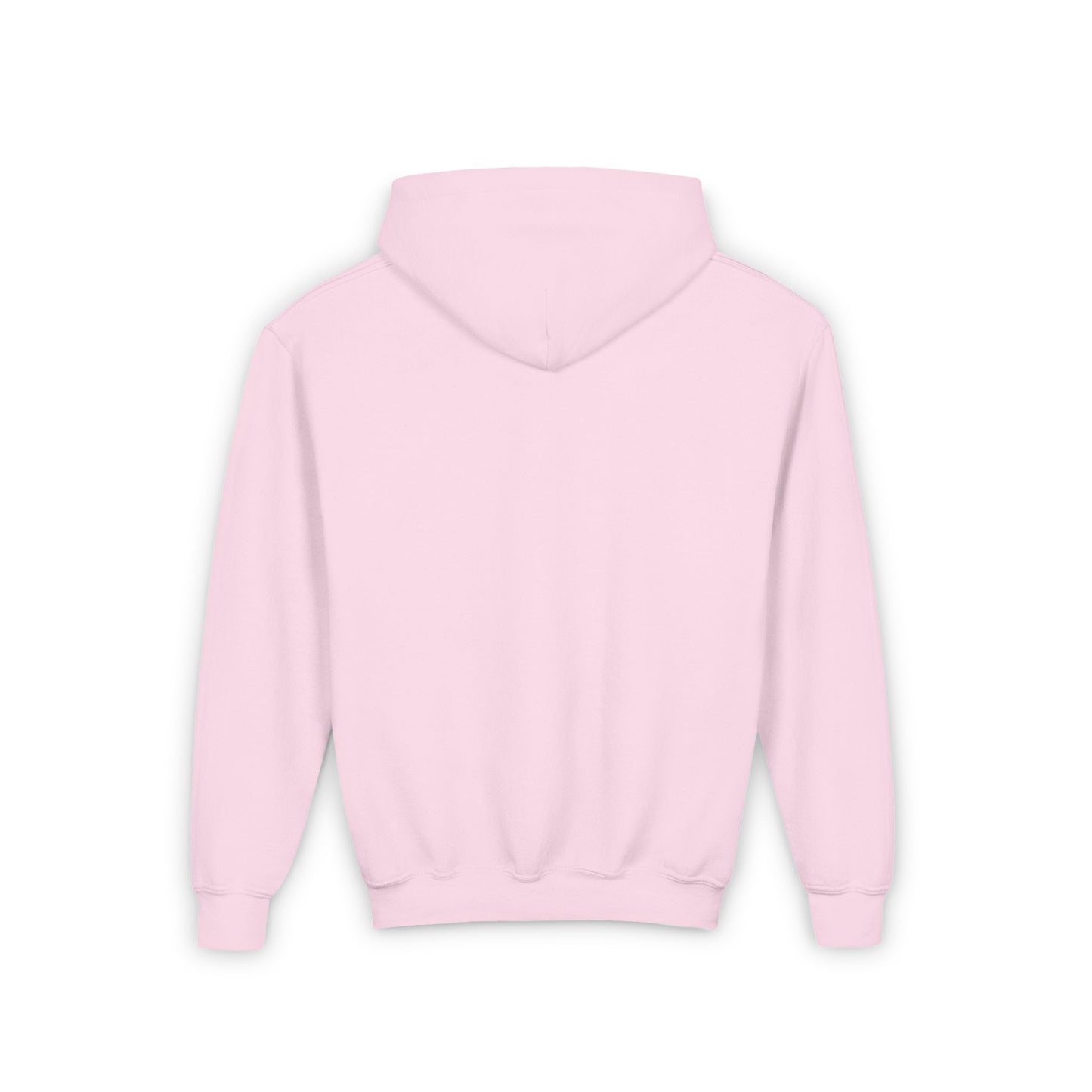 Dcaz Kids Hoodie Embroidered Logo - Ivy Society