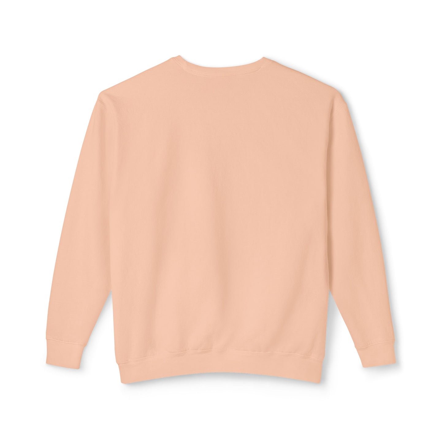 DCAZ Lightweight Sweatshirt - Ivy Society