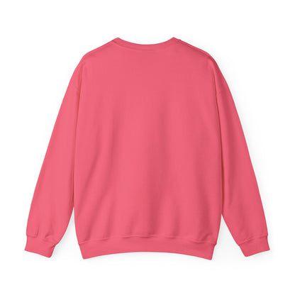 1873 sweatshirt