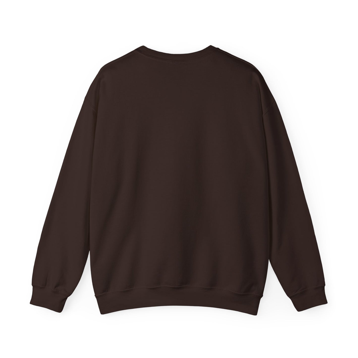 1873 sweatshirt