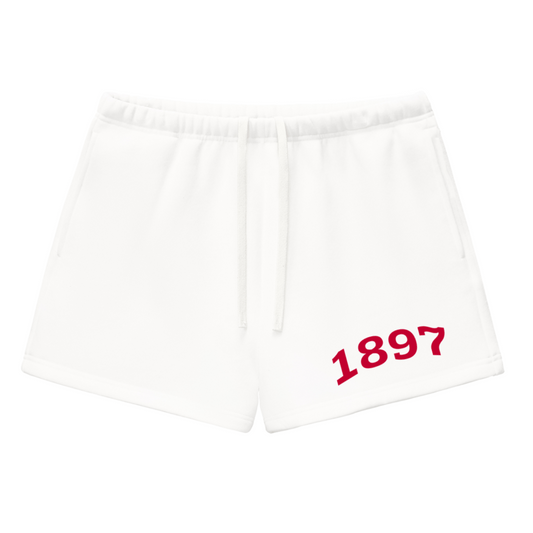 Red Alpha Omicron Pi Fleece Drawstring Shorts