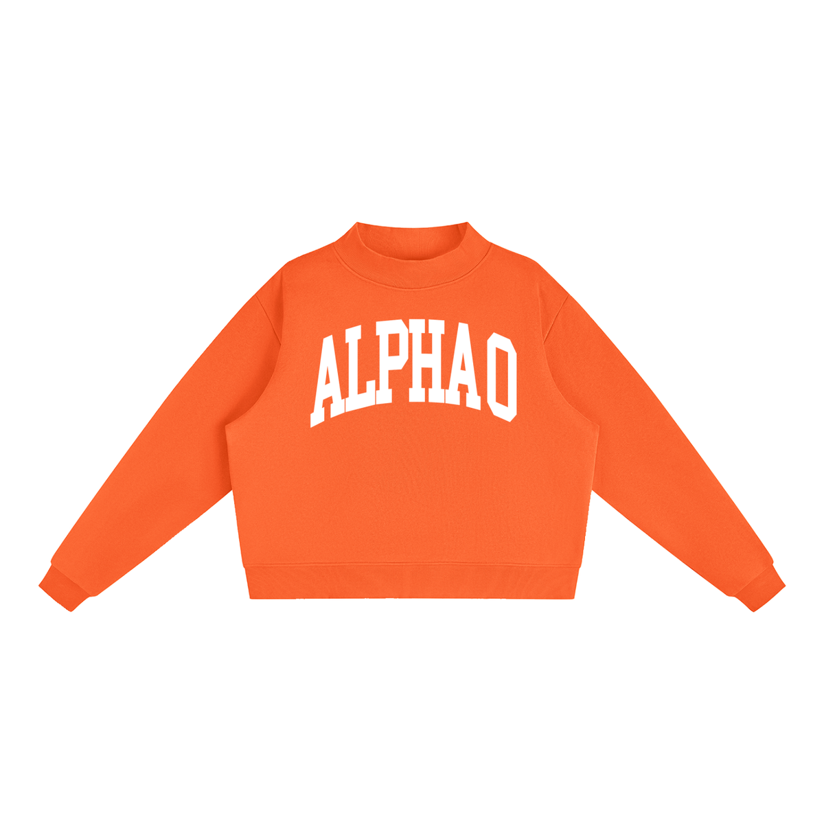 Alpha Omicron Pi Big Letters Mock Neck Sweatshirt