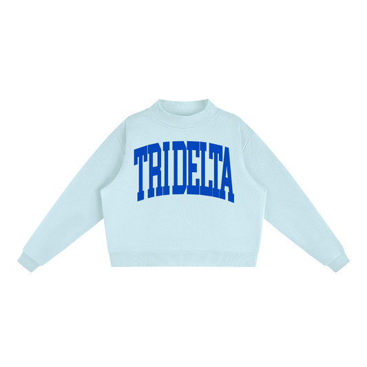 Tri Delta Big Mock Neck Sweatshirt