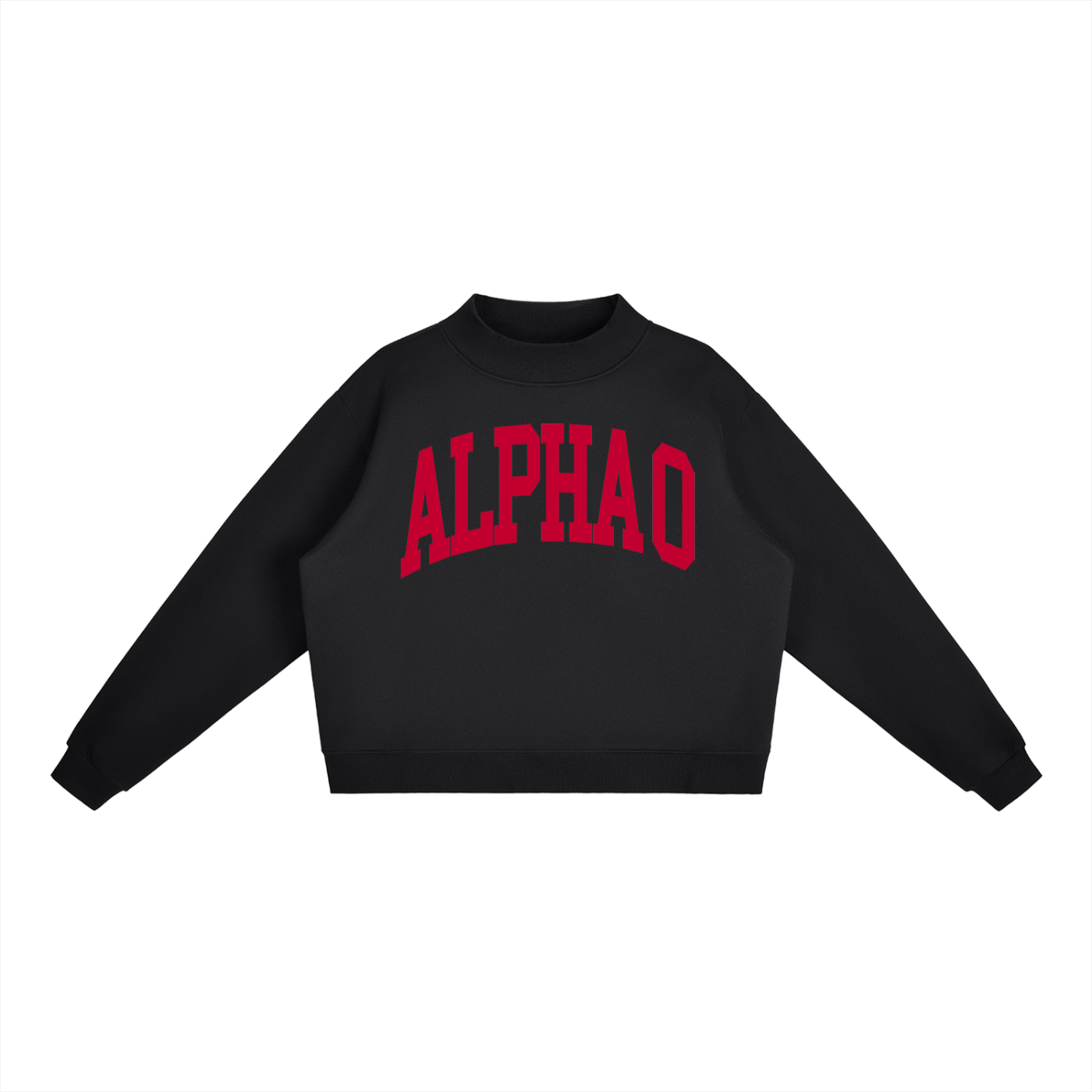 Alpha Omicron Pi Big Mock Neck Sweatshirt - Ivy Society