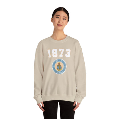 1873 sweatshirt
