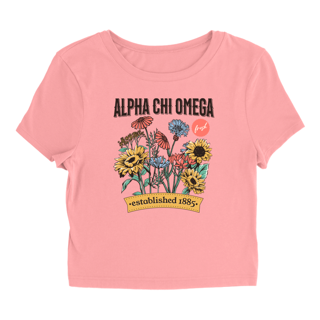 Apparel-DTG-TShirt-Bella-1010-XL-SolidPinkBlend-Womens-CF-20250608235455617