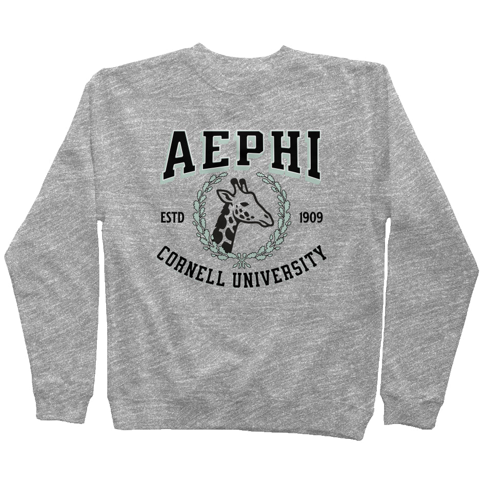 Alpha Epsilon Phi Personalized Collegiate Sweatshirt