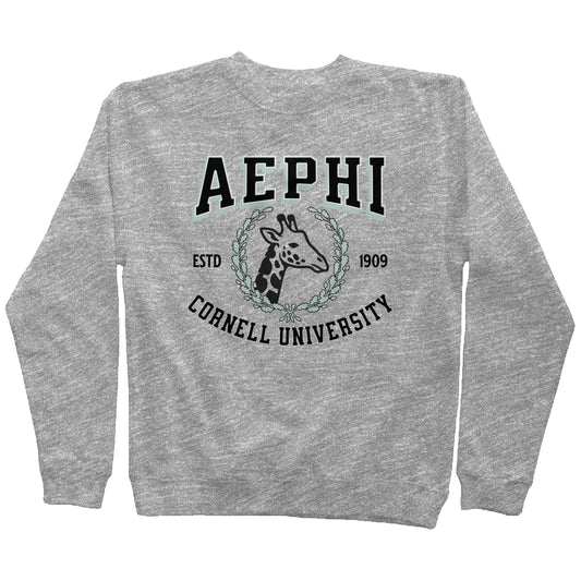 Alpha Epsilon Phi Personalized Collegiate Sweatshirt