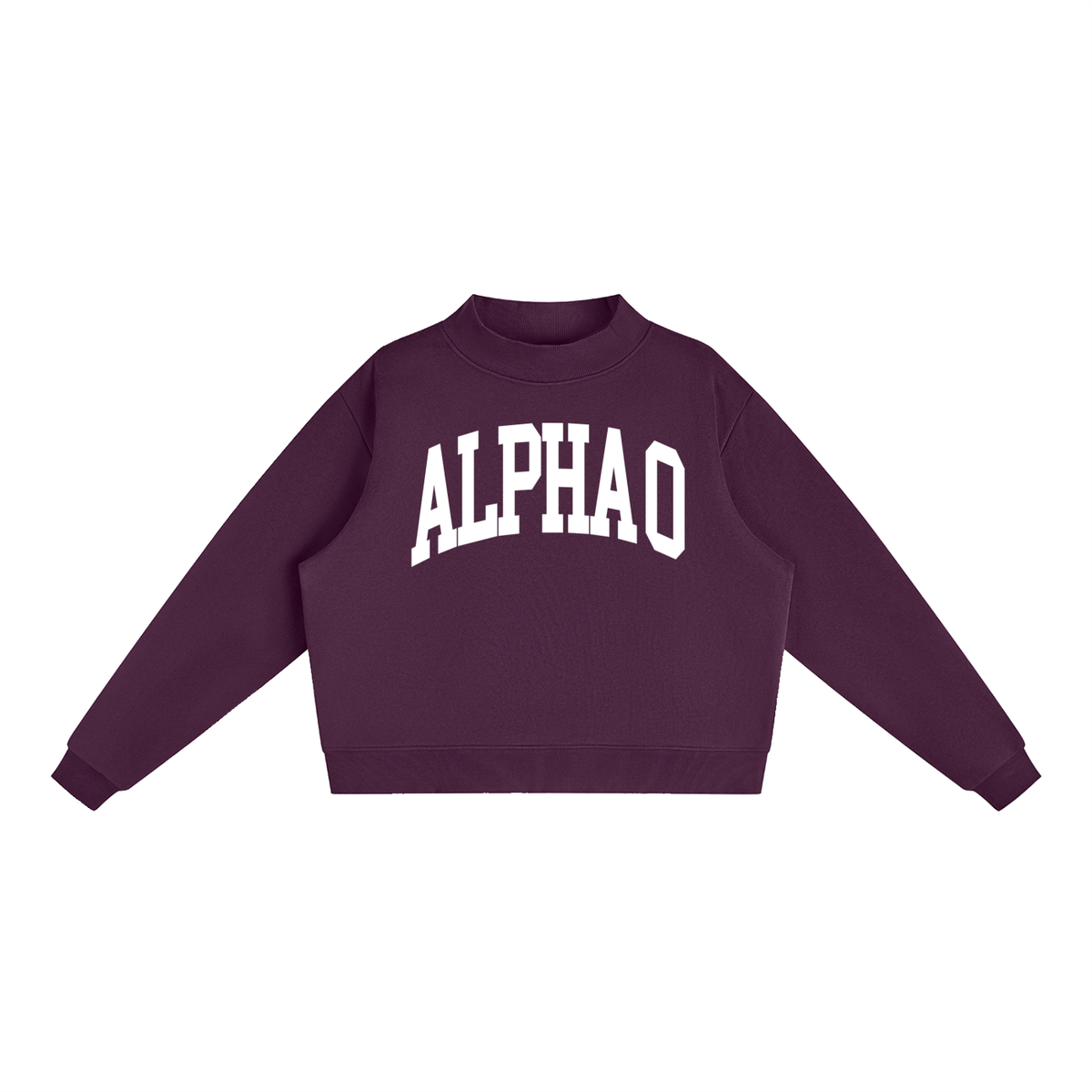 Alpha Omicron Pi Big Letters Mock Neck Sweatshirt