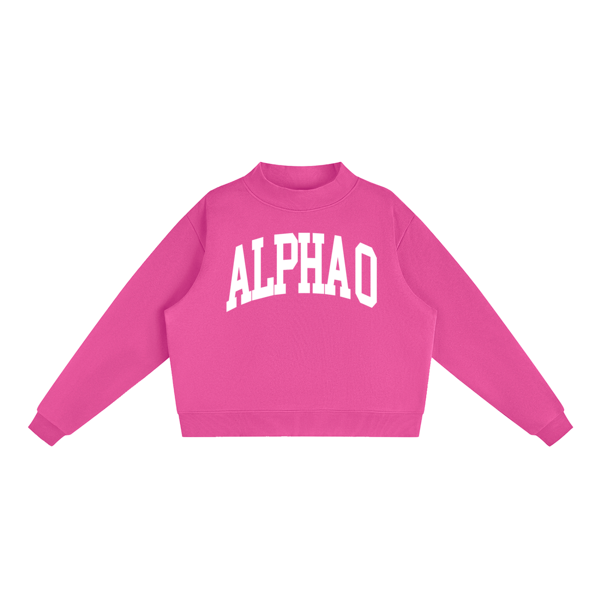 Alpha Omicron Pi Big Letters Mock Neck Sweatshirt