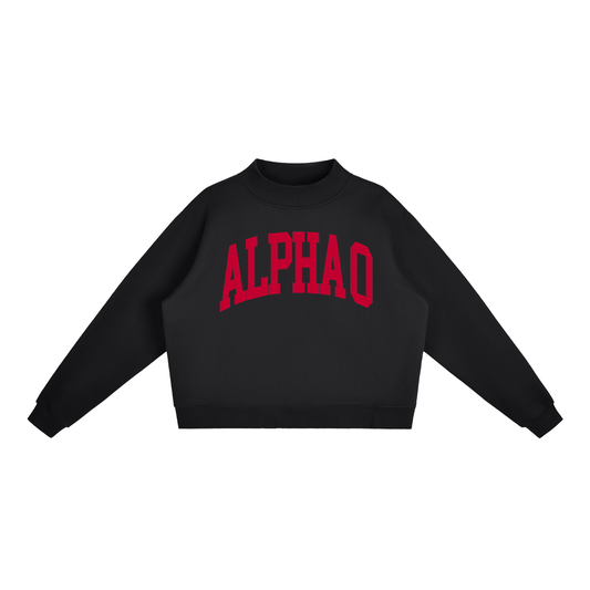 Alpha Omicron Pi Big Mock Neck Sweatshirt