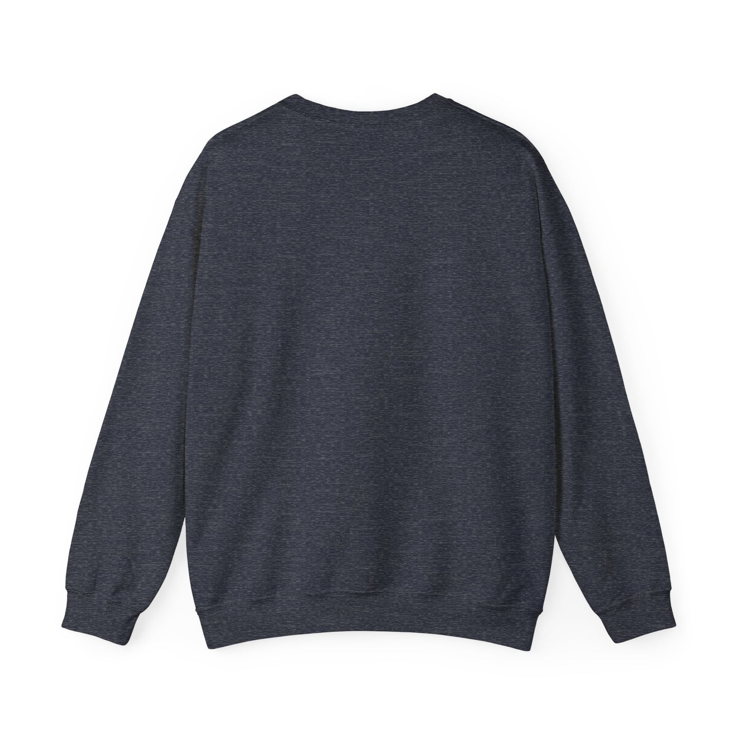 1873 sweatshirt