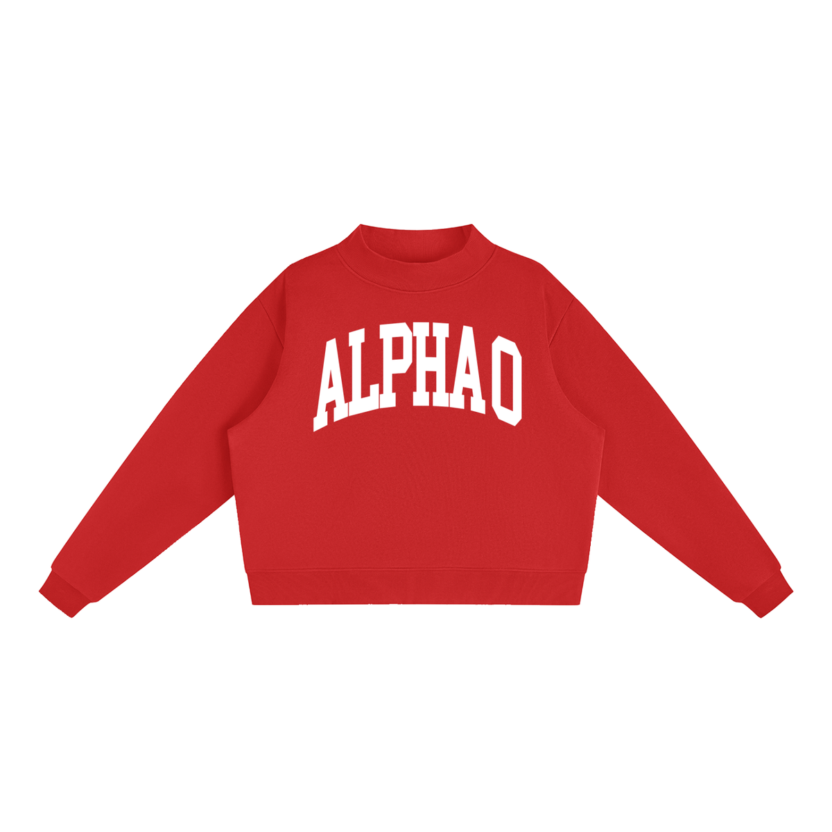 Alpha Omicron Pi Big Letters Mock Neck Sweatshirt
