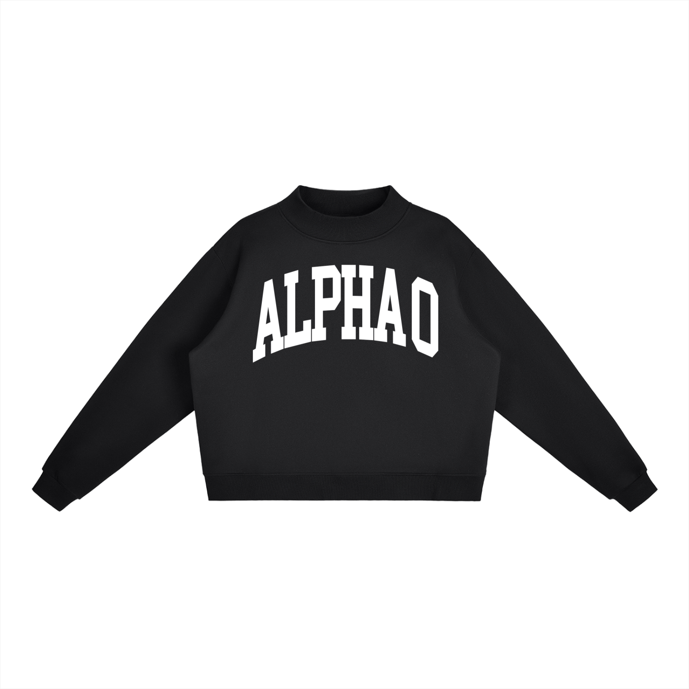 Alpha Omicron Pi Mock Neck Sweatshirt - Ivy Society