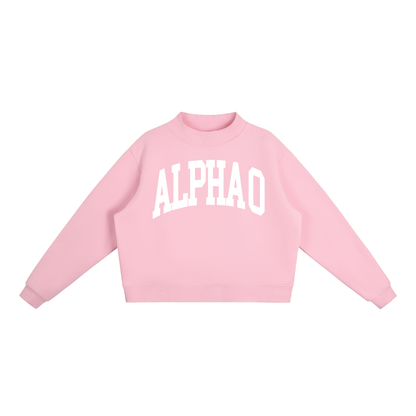Alpha Omicron Pi Mock Neck Sweatshirt - Ivy Society