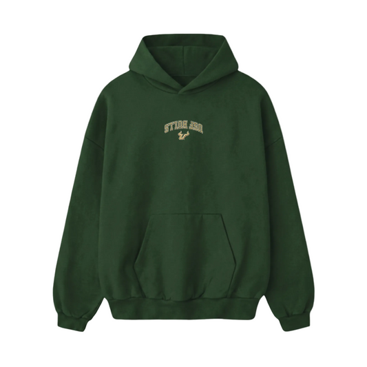 USF Bulls Embroidered Hoodie - Ivy Society