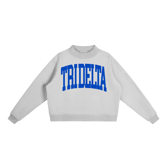 Tri Delta Big Mock Neck Sweatshirt - Ivy Society
