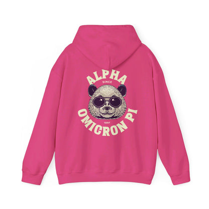 Alpha Omicron Pi Panda Hoodie - Ivy Society