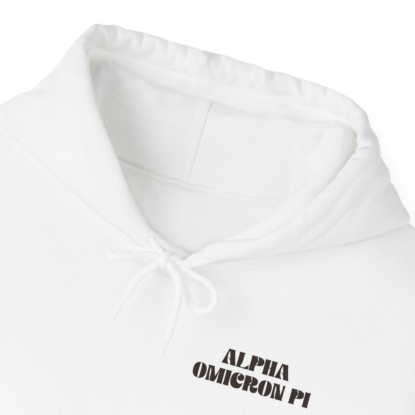 Alpha omicron Pi Bouquet Hoodie - Ivy Society