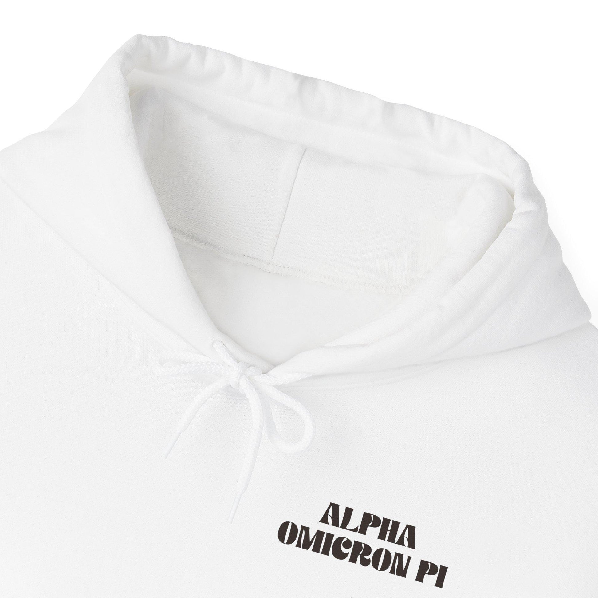 Alpha omicron Pi Bouquet Hoodie - Ivy Society