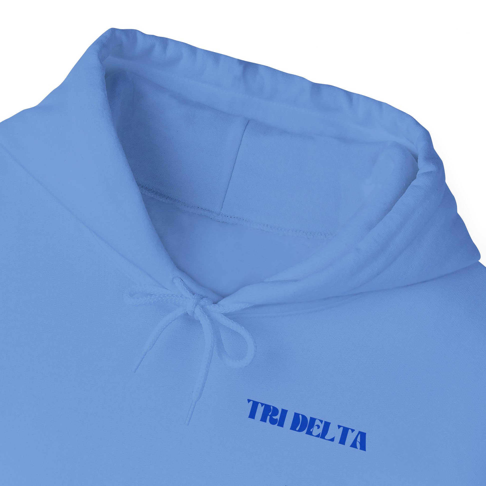 TRI DELTA FLOWER BOUQUET HOODIE - Ivy Society