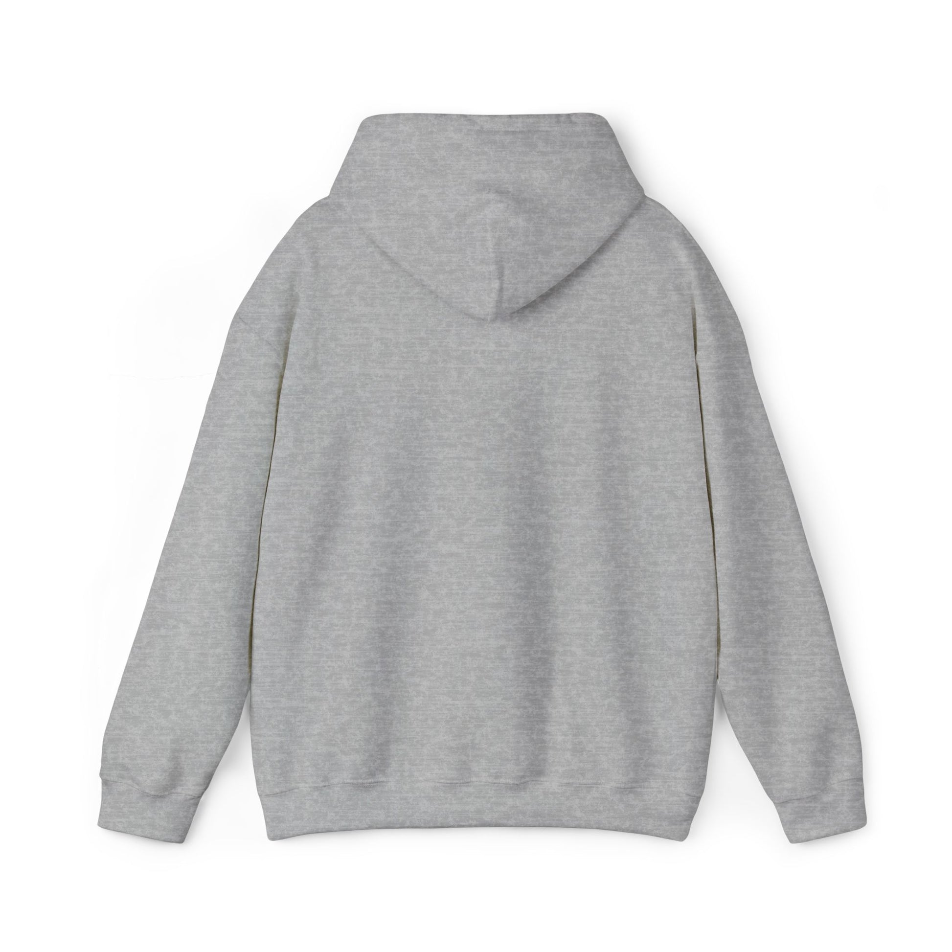 DCAZ Embroidered White Logo Hoodie - Ivy Society