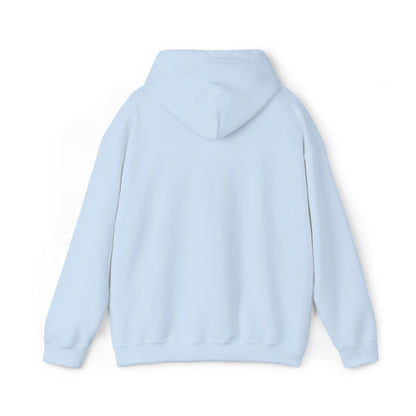 DCAZ Embroidered White Logo Hoodie - Ivy Society