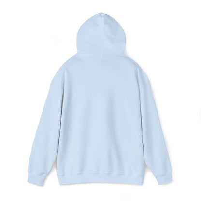 DCAZ Embroidered White Logo Hoodie - Ivy Society