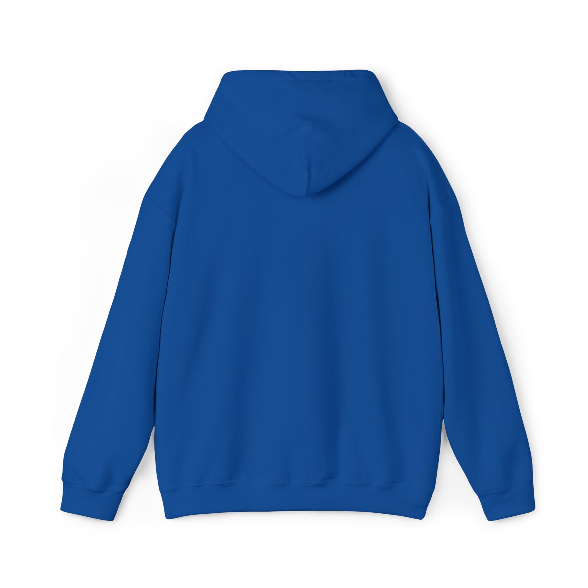 DCAZ Embroidered White Logo Hoodie - Ivy Society