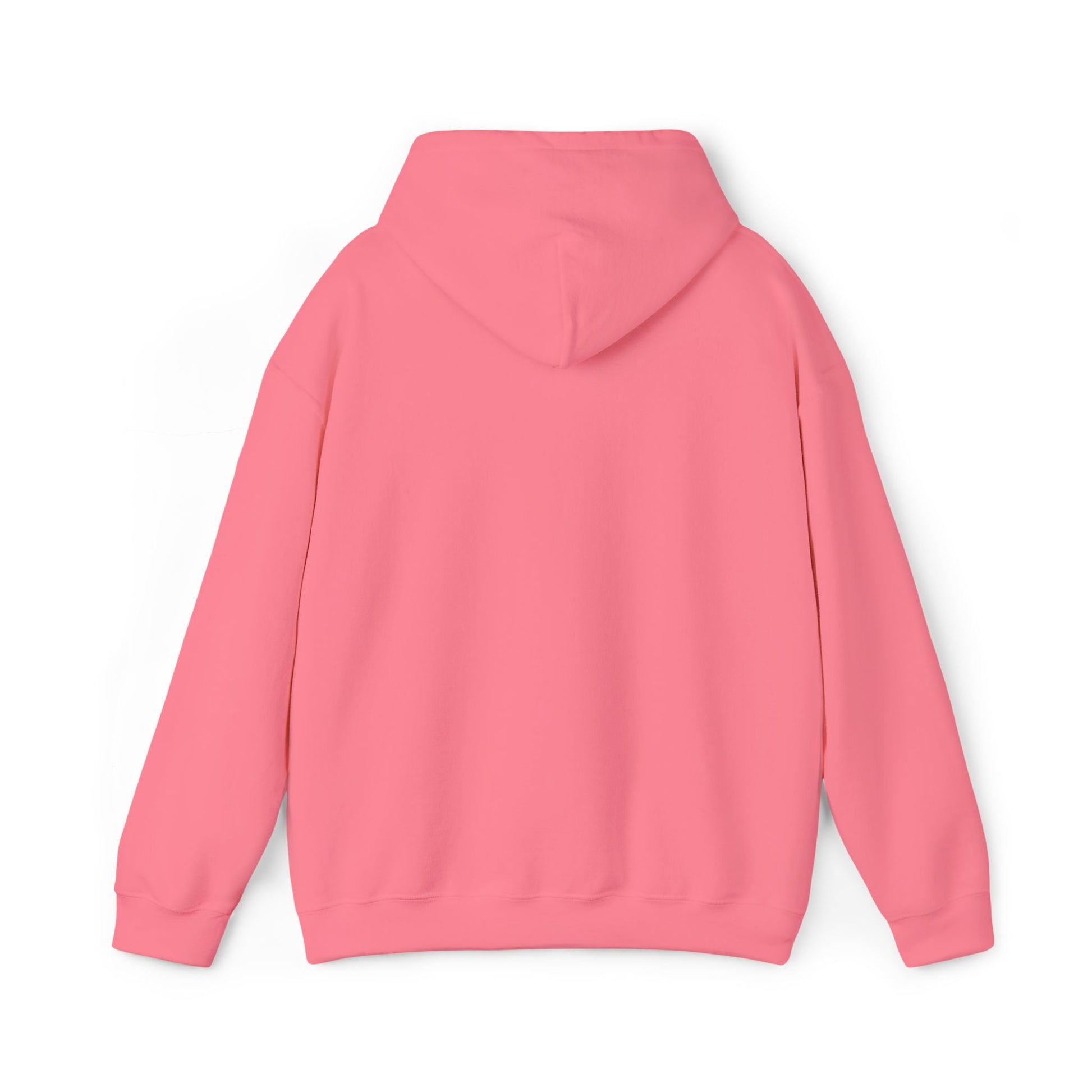 DCAZ Embroidered White Logo Hoodie - Ivy Society
