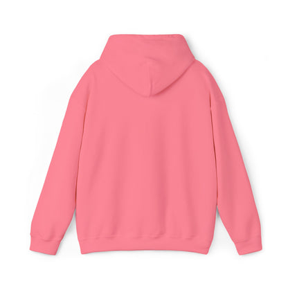 DCAZ Embroidered White Logo Hoodie - Ivy Society