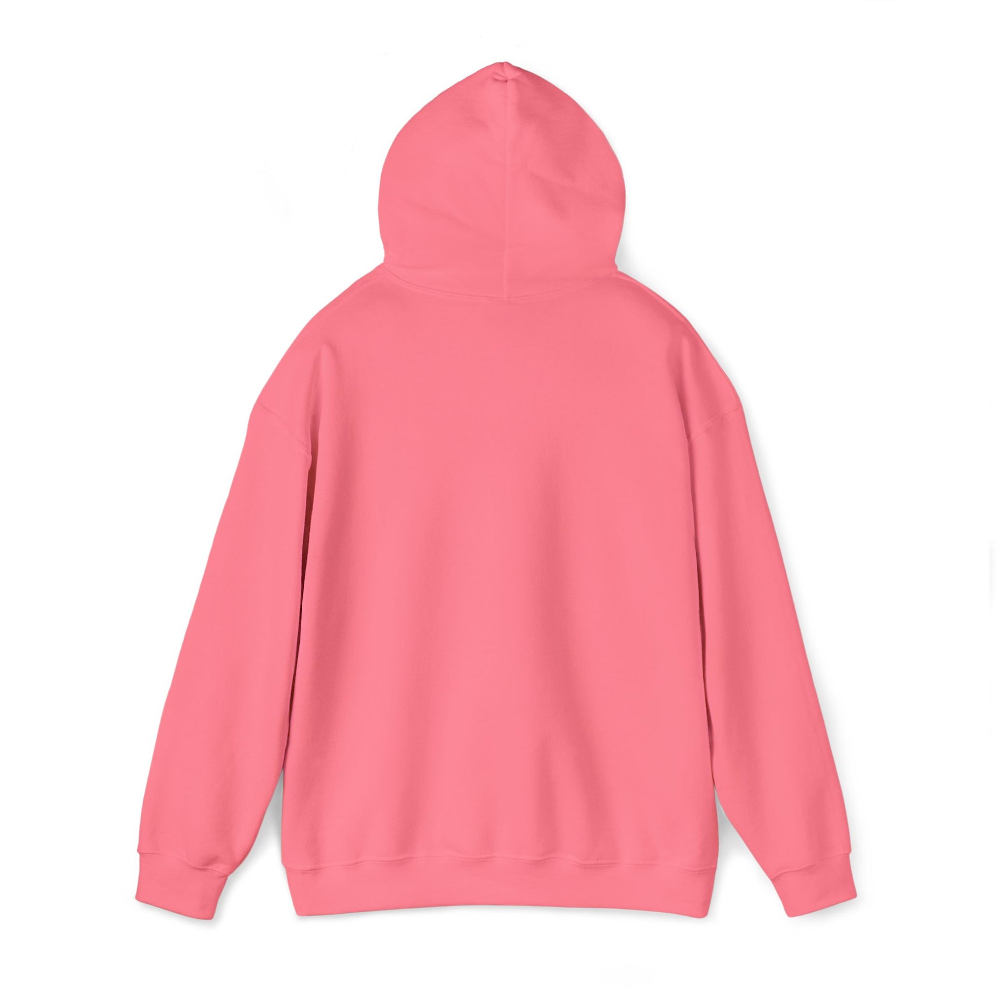 DCAZ Embroidered White Logo Hoodie - Ivy Society