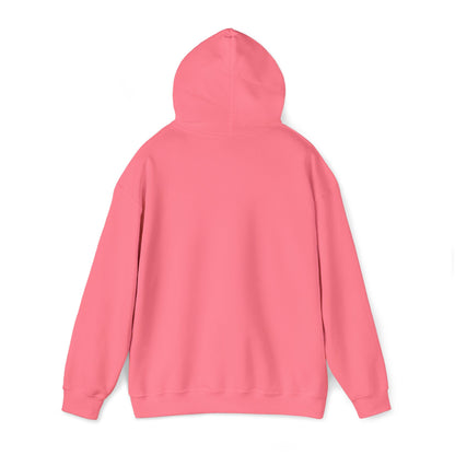 DCAZ Embroidered White Logo Hoodie - Ivy Society
