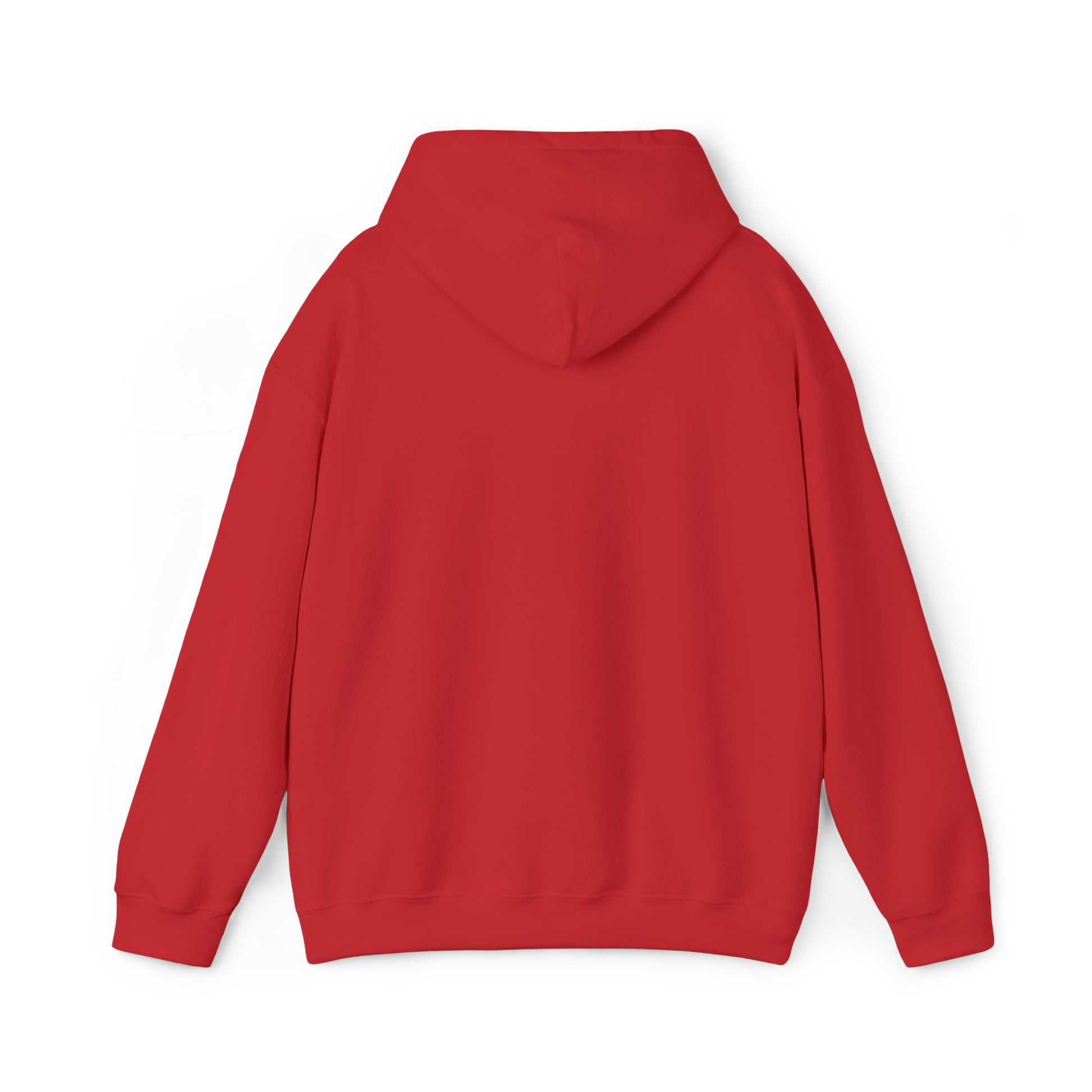 DCAZ Embroidered White Logo Hoodie - Ivy Society