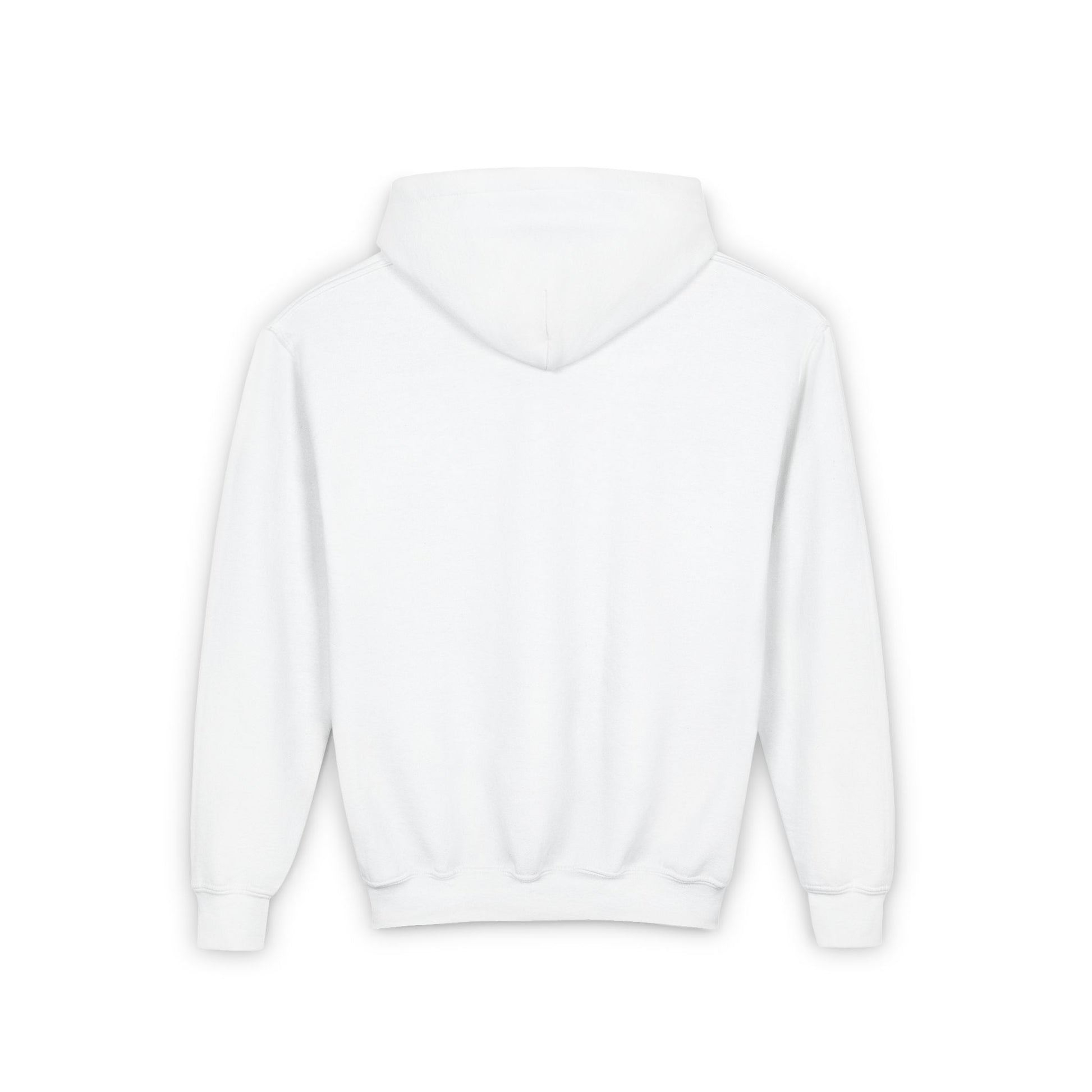 Dcaz Kids Hoodie Embroidered Logo - Ivy Society