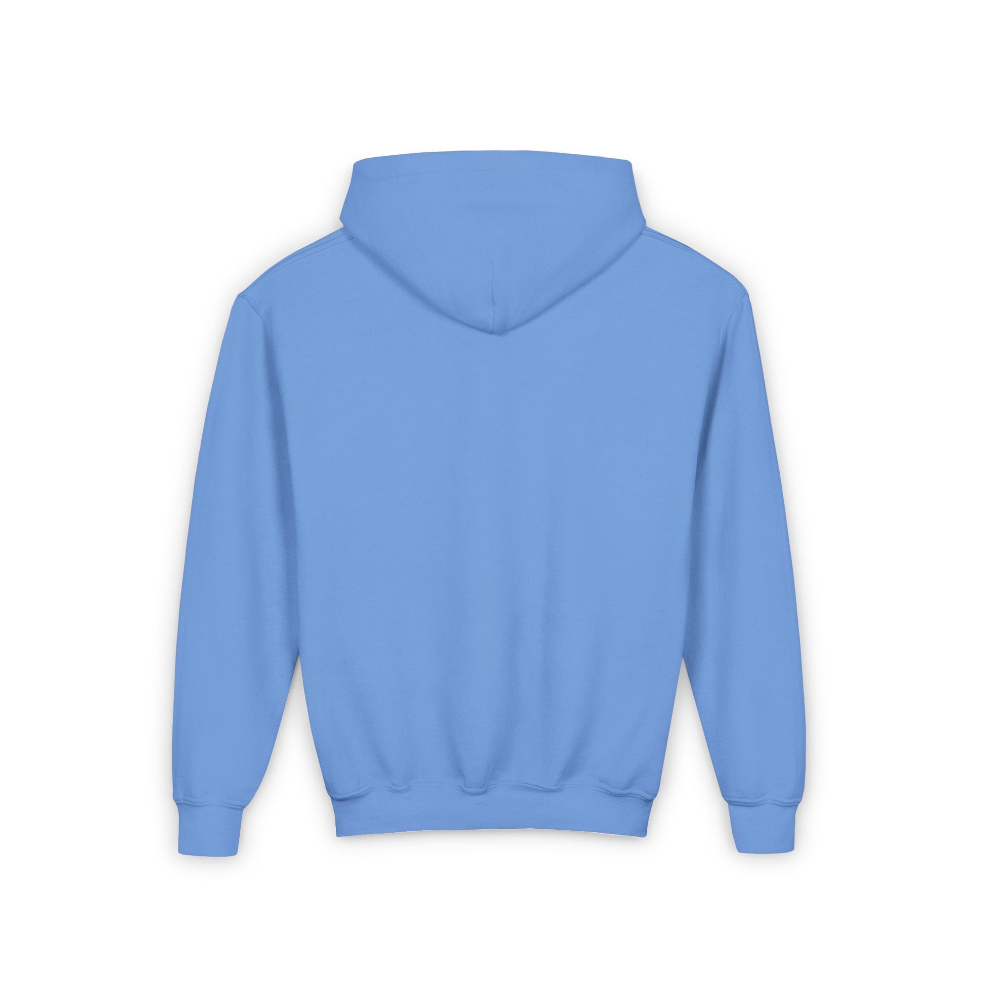 Dcaz Kids Hoodie Embroidered Logo - Ivy Society