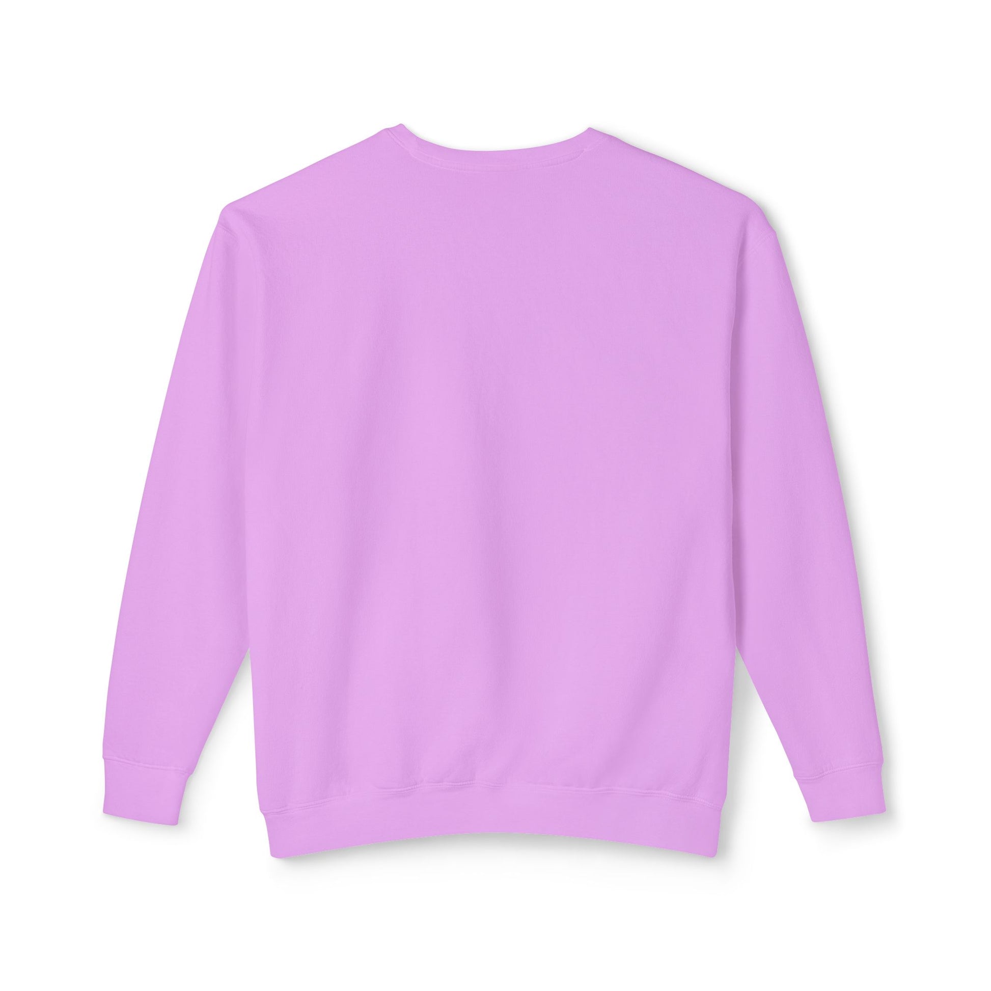 DCAZ Lightweight Sweatshirt - Ivy Society